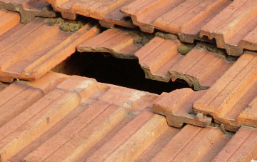 roof repair Salmans, Kent